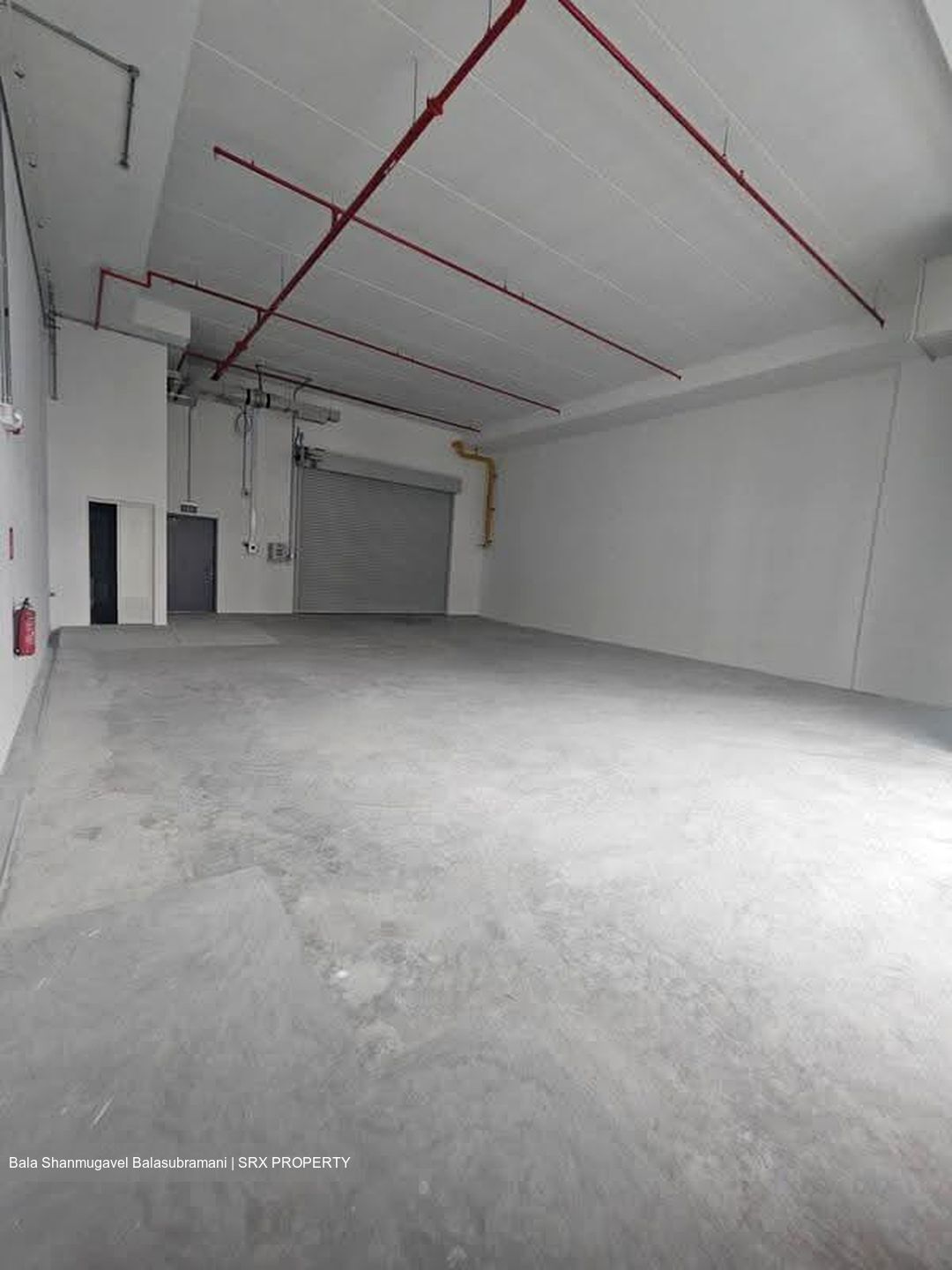Ct Foodnex (D25), Factory #615633121